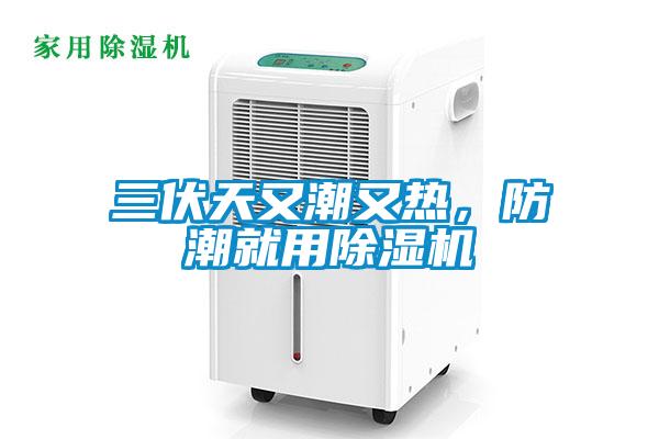 三伏天又潮又熱,防潮就用除濕機
