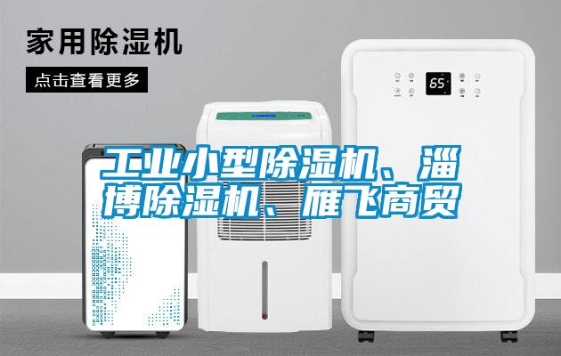 工業(yè)小型除濕機、淄博除濕機、雁飛商貿(mào)