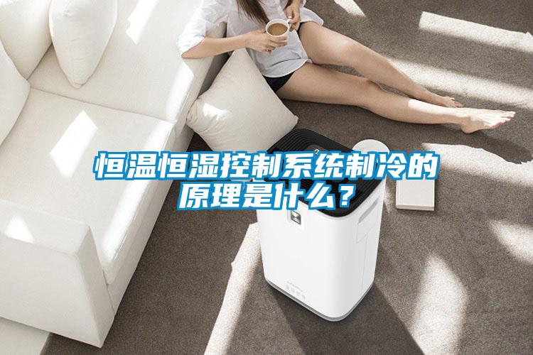 恒溫恒濕控制系統制冷的原理是什么?