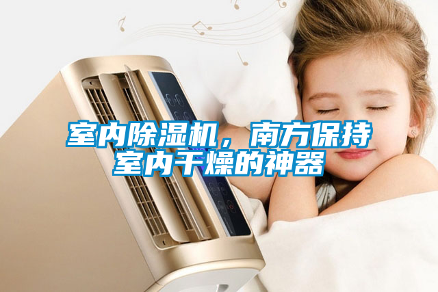 室內(nèi)除濕機,南方保持室內(nèi)干燥的神器