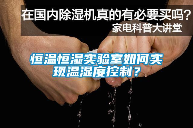 恒溫恒濕實驗室如何實現溫濕度控制？