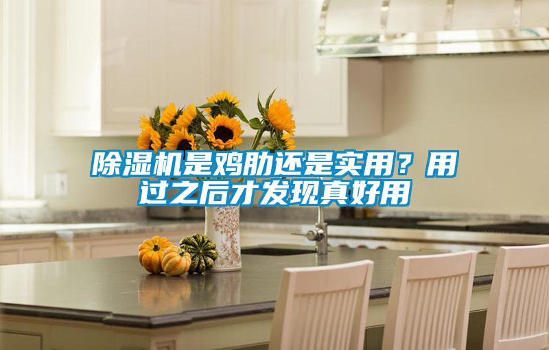 除濕機是雞肋還是實用？用過之后才發現真好用