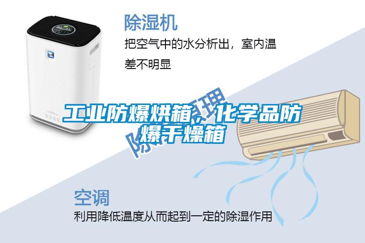 工業防爆烘箱，化學品防爆干燥箱
