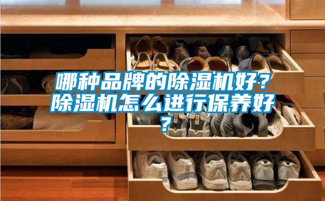 哪種品牌的除濕機好?除濕機怎么進行保養好?