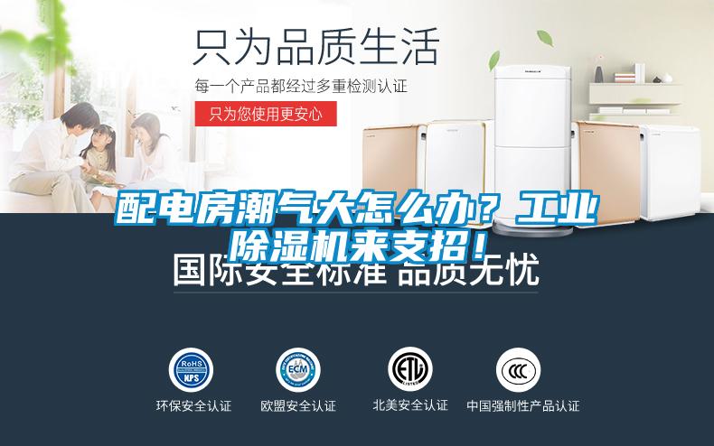 配電房潮氣大怎么辦？工業除濕機來支招！