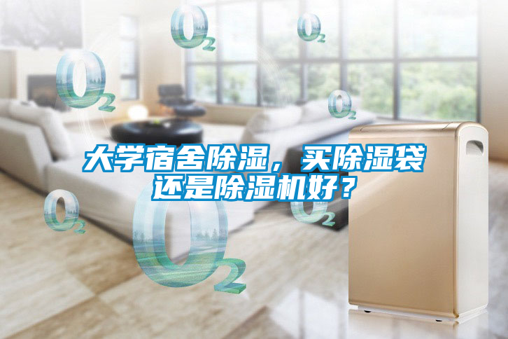 大學宿舍除濕，買除濕袋還是除濕機好？