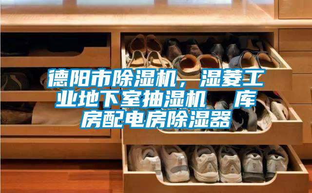 德陽市除濕機，濕菱工業地下室抽濕機  庫房配電房除濕器