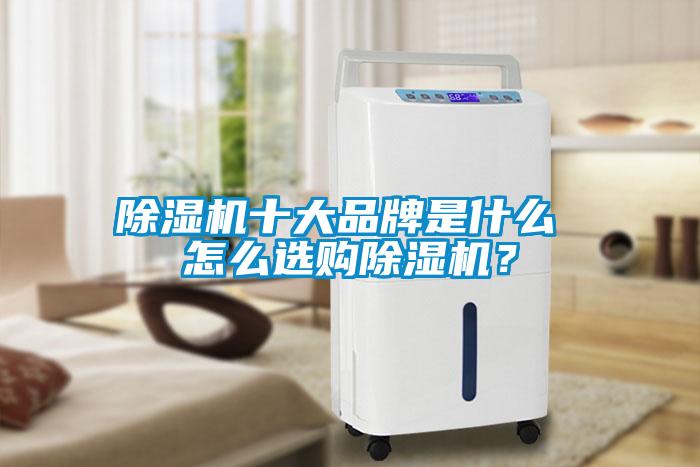 除濕機十大品牌是什么 怎么選購除濕機？