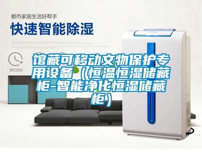 館藏可移動文物保護專用設備(恒溫恒濕儲藏柜-智能凈化恒濕儲藏柜)