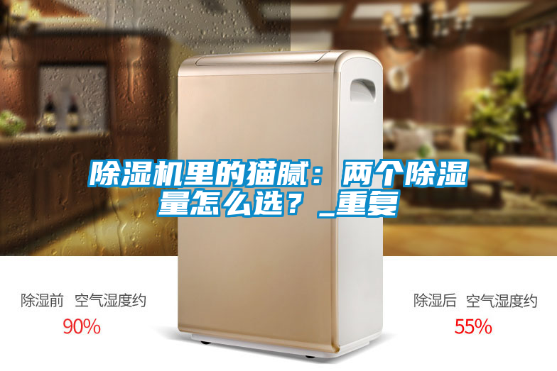 除濕機里的貓膩：兩個除濕量怎么選？_重復