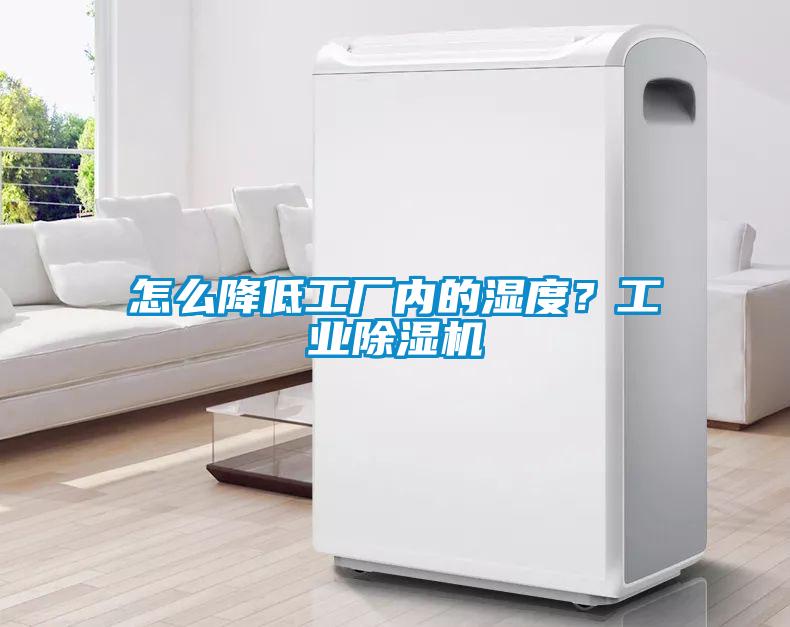 怎么降低工廠內的濕度？工業除濕機
