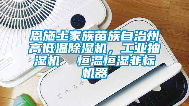 恩施土家族苗族自治州高低溫除濕機，工業抽濕機  恒溫恒濕非標機器