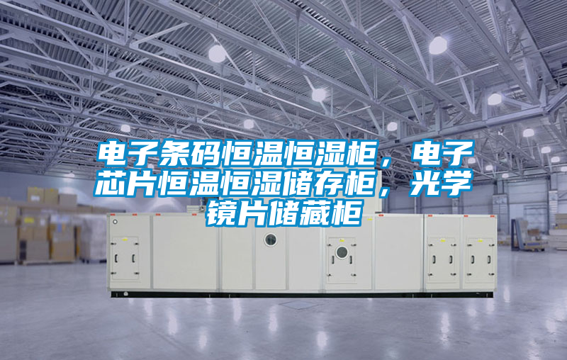電子條碼恒溫恒濕柜，電子芯片恒溫恒濕儲(chǔ)存柜，光學(xué)鏡片儲(chǔ)藏柜