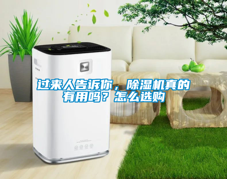 過來人告訴你，除濕機(jī)真的有用嗎？怎么選購(gòu)
