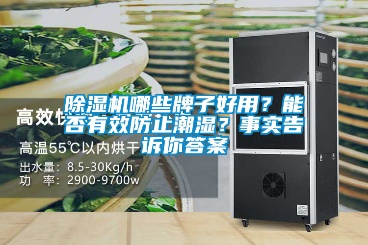 除濕機哪些牌子好用？能否有效防止潮濕？事實告訴你答案