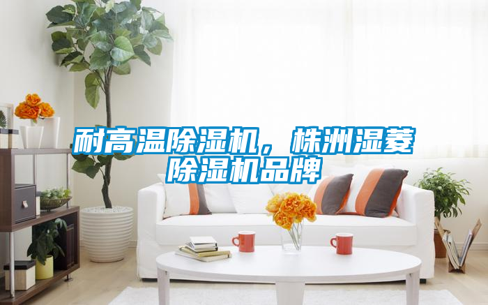 耐高溫除濕機，株洲濕菱除濕機品牌