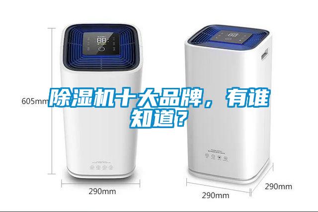 除濕機(jī)十大品牌，有誰(shuí)知道？