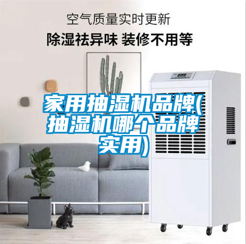 家用抽濕機(jī)品牌(抽濕機(jī)哪個品牌實用)