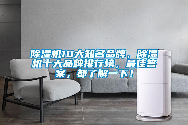 除濕機10大知名品牌，除濕機十大品牌排行榜，最佳答案，都了解一下！