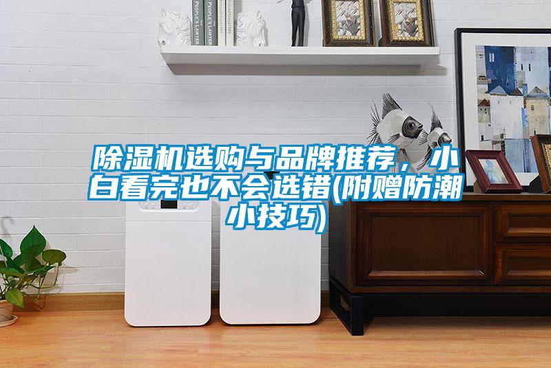 除濕機選購與品牌推薦,小白看完也不會選錯(附贈防潮小技巧)