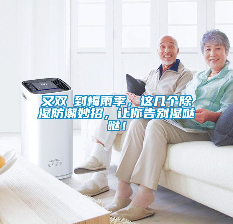 又雙叒到梅雨季，這幾個(gè)除濕防潮妙招，讓你告別濕噠噠！