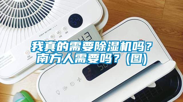 我真的需要除濕機嗎？南方人需要嗎？(圖)