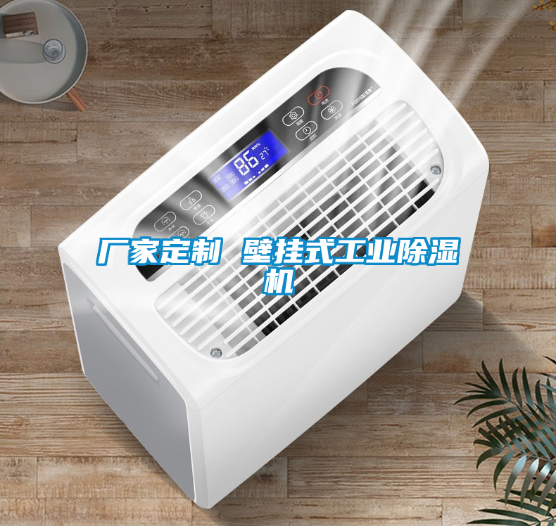廠(chǎng)家定制 壁掛式工業(yè)除濕機(jī)