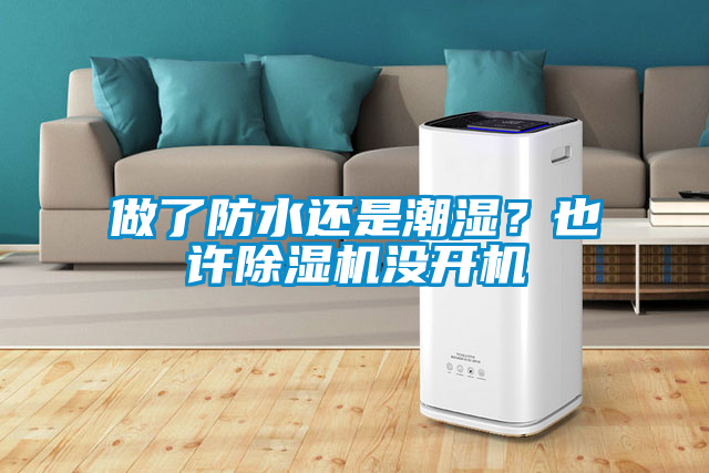 做了防水還是潮濕？也許除濕機沒開機
