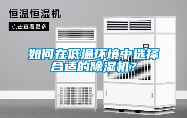 如何在低溫環(huán)境中選擇合適的除濕機?