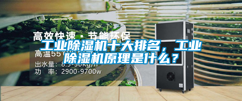 工業除濕機十大排名，工業除濕機原理是什么？