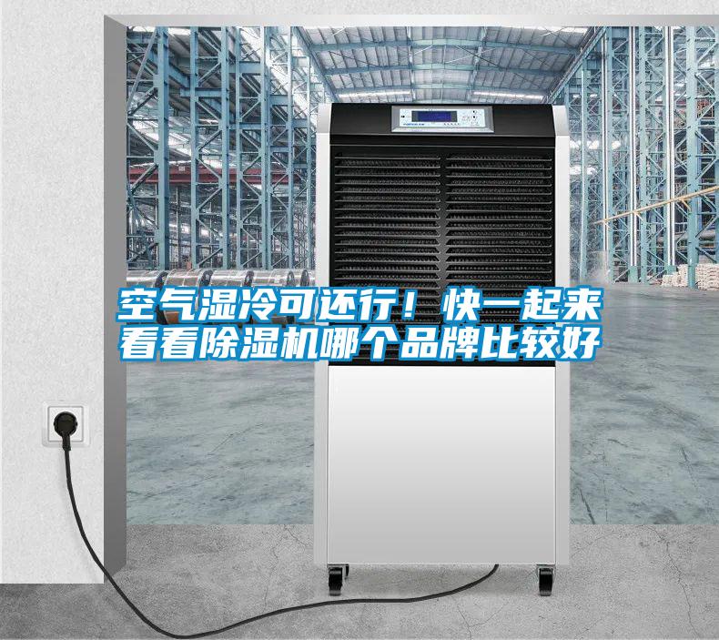 空氣濕冷可還行！快一起來看看除濕機(jī)哪個品牌比較好
