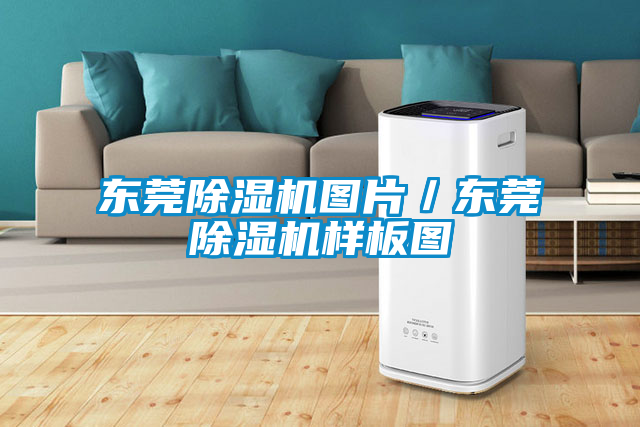 東莞除濕機圖片/東莞除濕機樣板圖