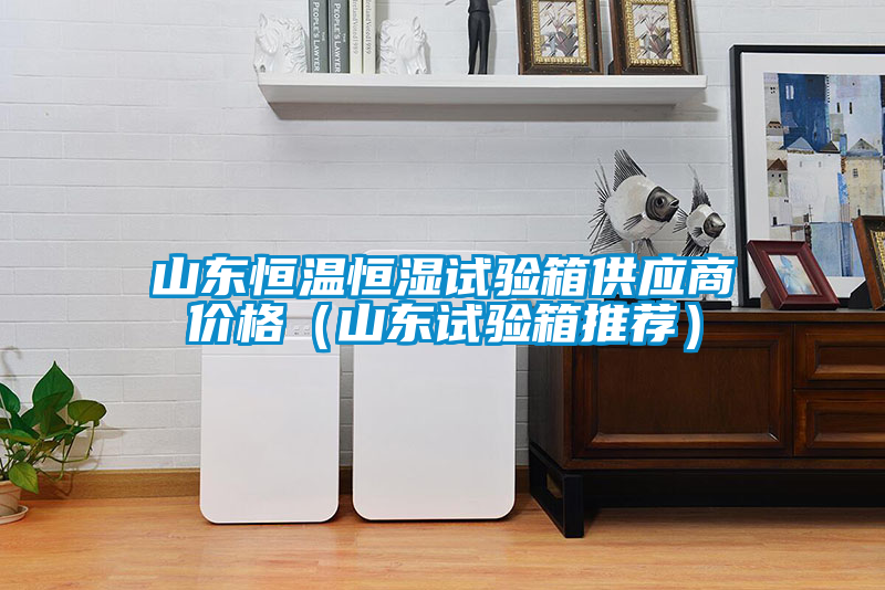 山東恒溫恒濕試驗(yàn)箱供應(yīng)商價(jià)格(山東試驗(yàn)箱推薦)