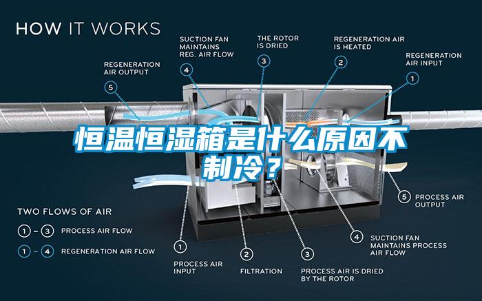 恒溫恒濕箱是什么原因不制冷?