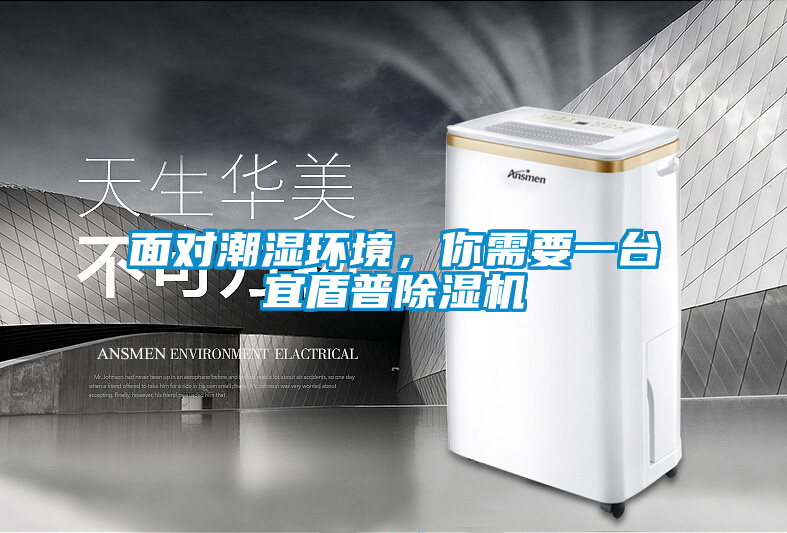 面對潮濕環境，你需要一臺宜盾普除濕機