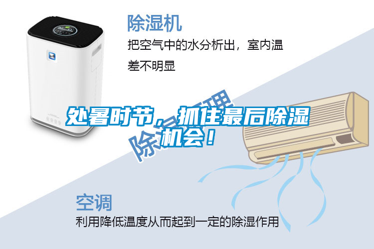 處暑時節，抓住最后除濕機會！