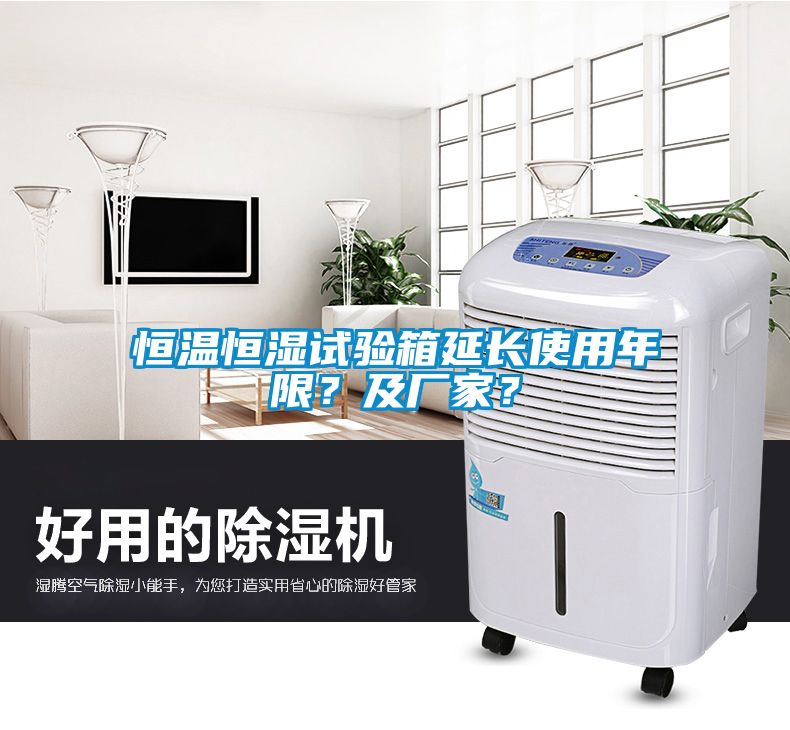 恒溫恒濕試驗箱延長使用年限?及廠家?