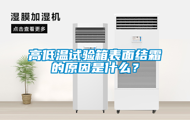 高低溫試驗箱表面結霜的原因是什么?