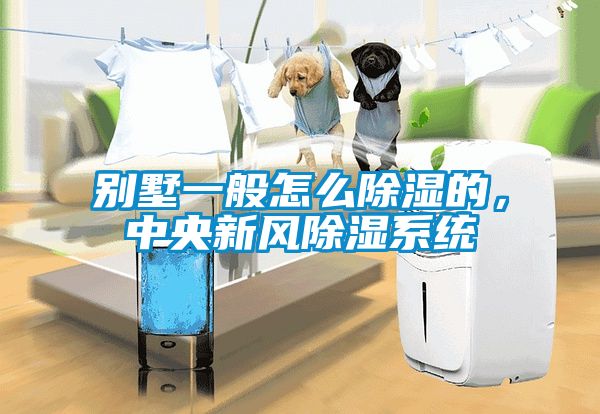 別墅一般怎么除濕的,中央新風(fēng)除濕系統(tǒng)