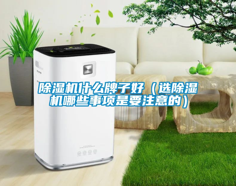 除濕機(jī)什么牌子好(選除濕機(jī)哪些事項(xiàng)是要注意的)