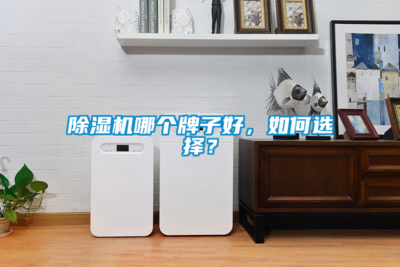 除濕機(jī)哪個牌子好，如何選擇？