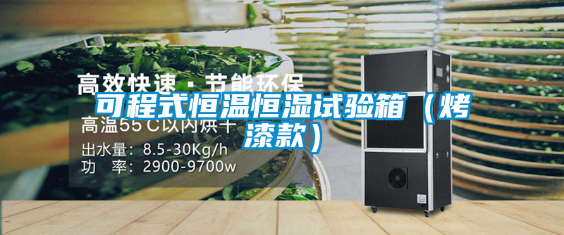 可程式恒溫恒濕試驗箱(烤漆款)