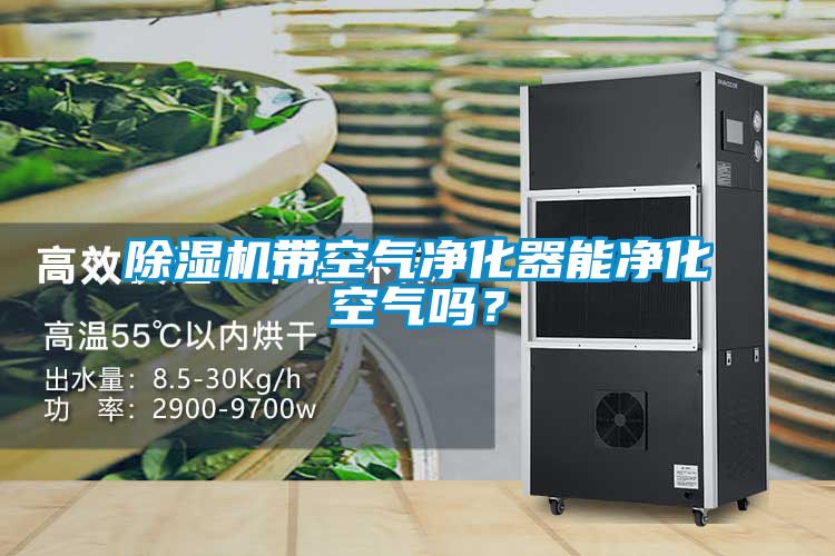 除濕機帶空氣凈化器能凈化空氣嗎?