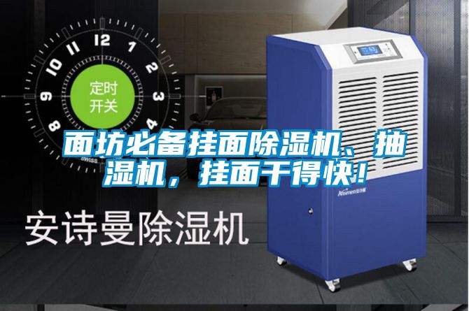 面坊必備掛面除濕機(jī)、抽濕機(jī)，掛面干得快！
