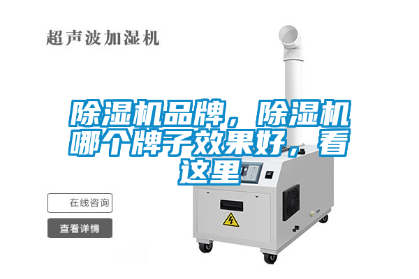 除濕機(jī)品牌,除濕機(jī)哪個(gè)牌子效果好,看這里