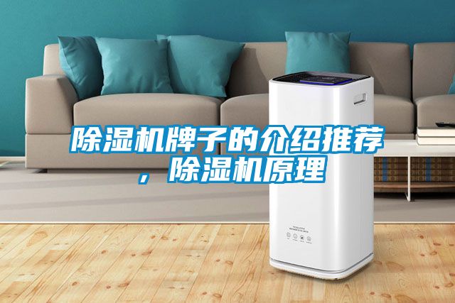 除濕機牌子的介紹推薦，除濕機原理