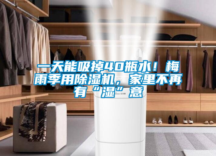 一天能吸掉40瓶水！梅雨季用除濕機，家里不再有“濕”意