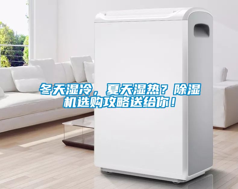 冬天濕冷，夏天濕熱？除濕機選購攻略送給你！