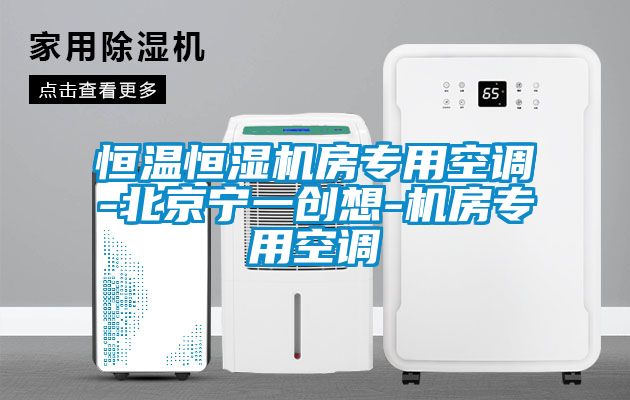 恒溫恒濕機房專用空調-北京寧一創(chuàng)想-機房專用空調