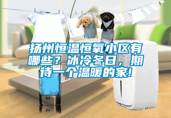 揚州恒溫恒氧小區有哪些?冰冷冬日,期待一個溫暖的家!